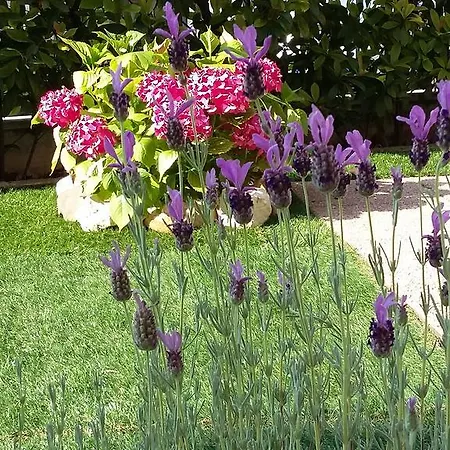 Casa Vacanza Melograno *